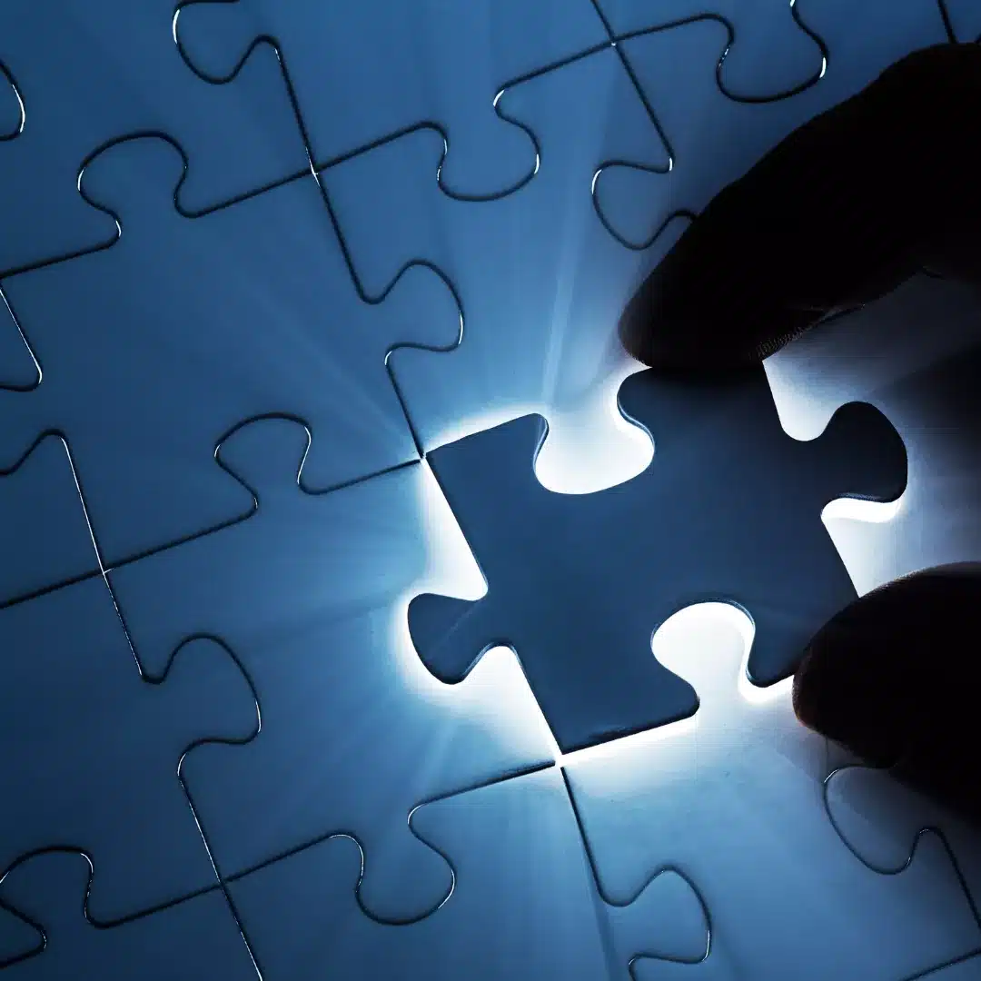 Custom web development solutions tailored to business needs
