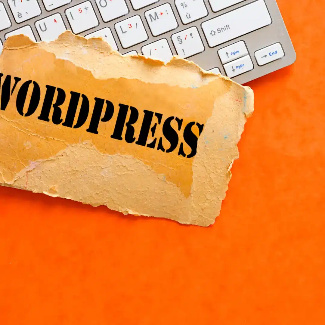 Platform versatility with custom programming and WordPress