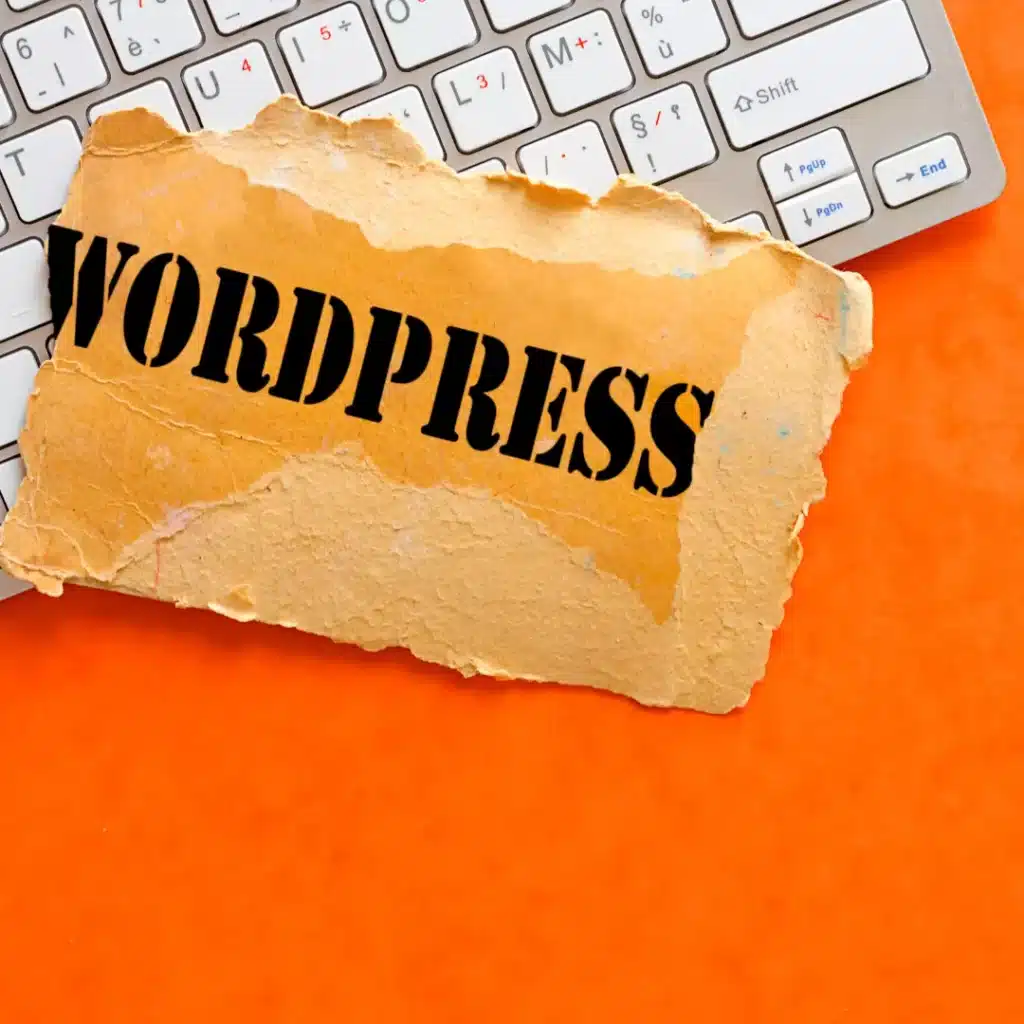 WordPress website developer